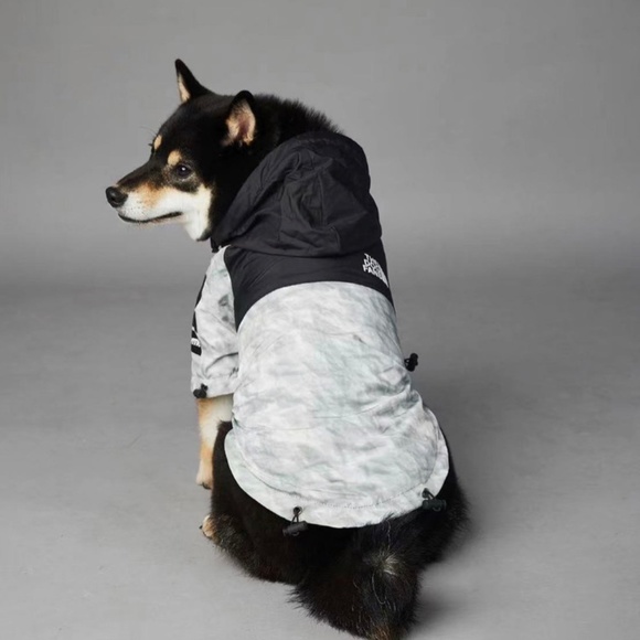 Fall dog jacket - Picture 3 of 7
